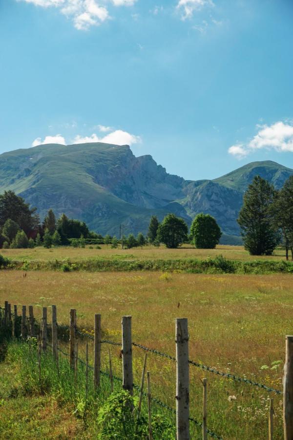 Vila Durmitor Nest Krstajic Žabljak Exteriör bild