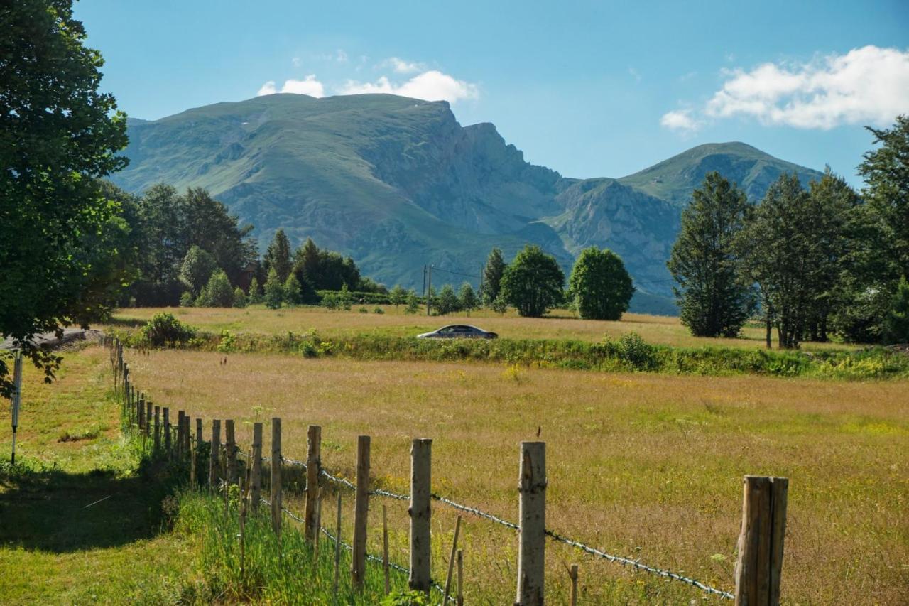 Vila Durmitor Nest Krstajic Žabljak Exteriör bild