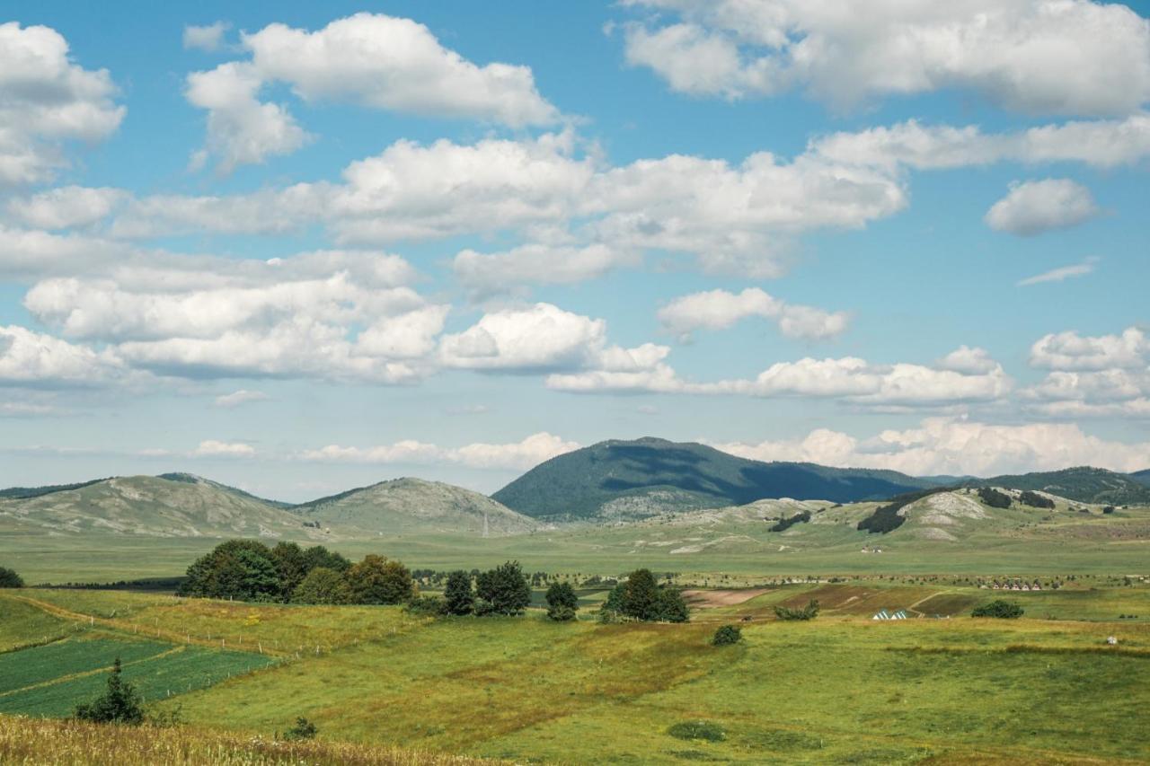 Vila Durmitor Nest Krstajic Žabljak Exteriör bild