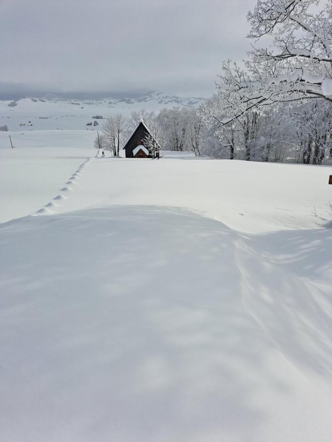 Vila Durmitor Nest Krstajic Žabljak Exteriör bild