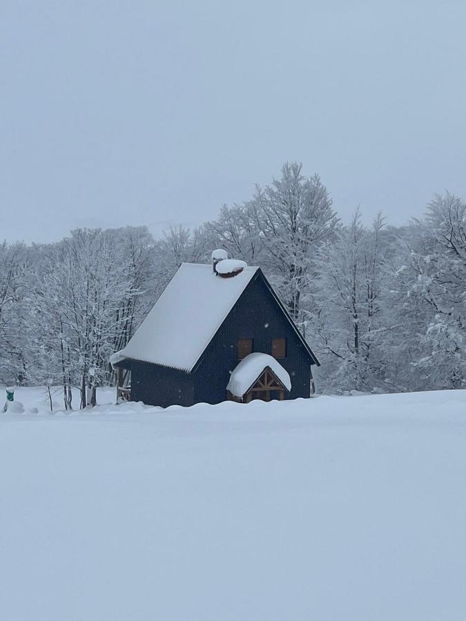 Vila Durmitor Nest Krstajic Žabljak Exteriör bild